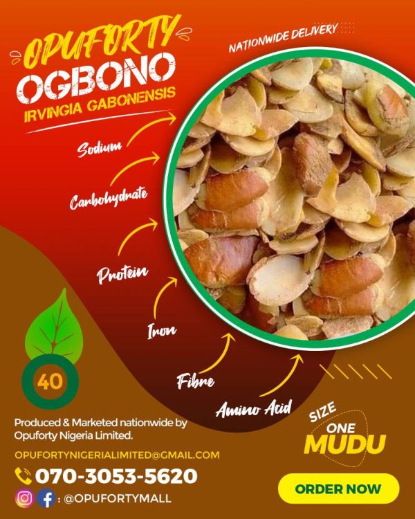 Ogbono(African Bush Mango