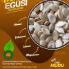 Egus Melon Seeds