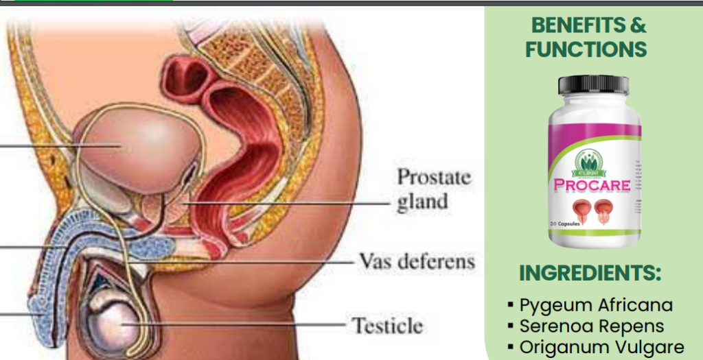 Prostate Relief