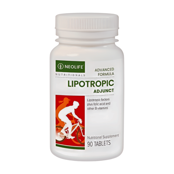 lipotropic supplement for fat metabolism